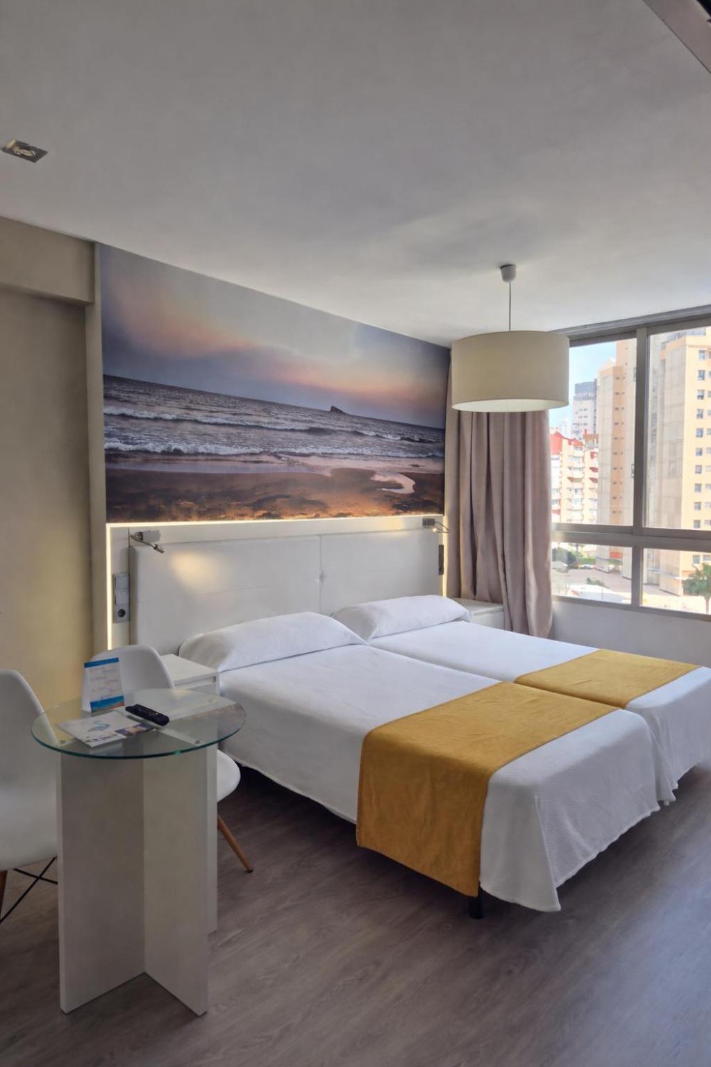 Premium Suite